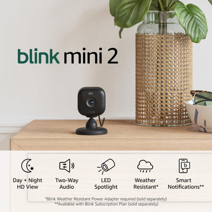 Blink Mini 2 — Home Security & Pet Camera(s) with HD video, color night view, motion detection, two-way audio, and built-in spotlight — 1 camera (Black)