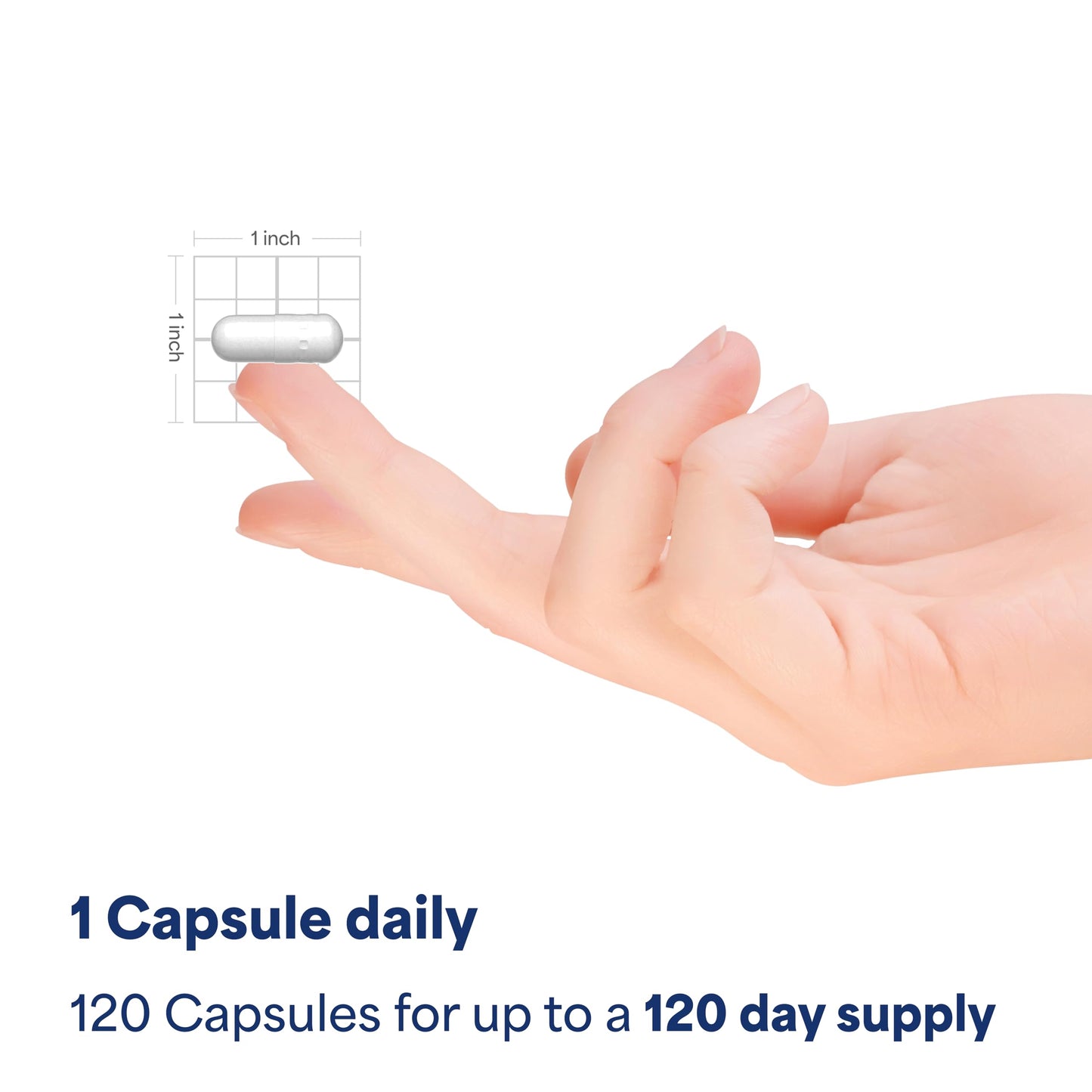 Puritan's Pride Premium Super Strength Melatonin 10mg Sleep Aid, Dietary Supplement for Sound, Restful, and Longer Sleep Support, 4 Month Supply, 120 Rapid Release Capsules (Packaging May Vary)