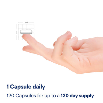 Puritan's Pride Premium Super Strength Melatonin 10mg Sleep Aid, Dietary Supplement for Sound, Restful, and Longer Sleep Support, 4 Month Supply, 120 Rapid Release Capsules (Packaging May Vary)