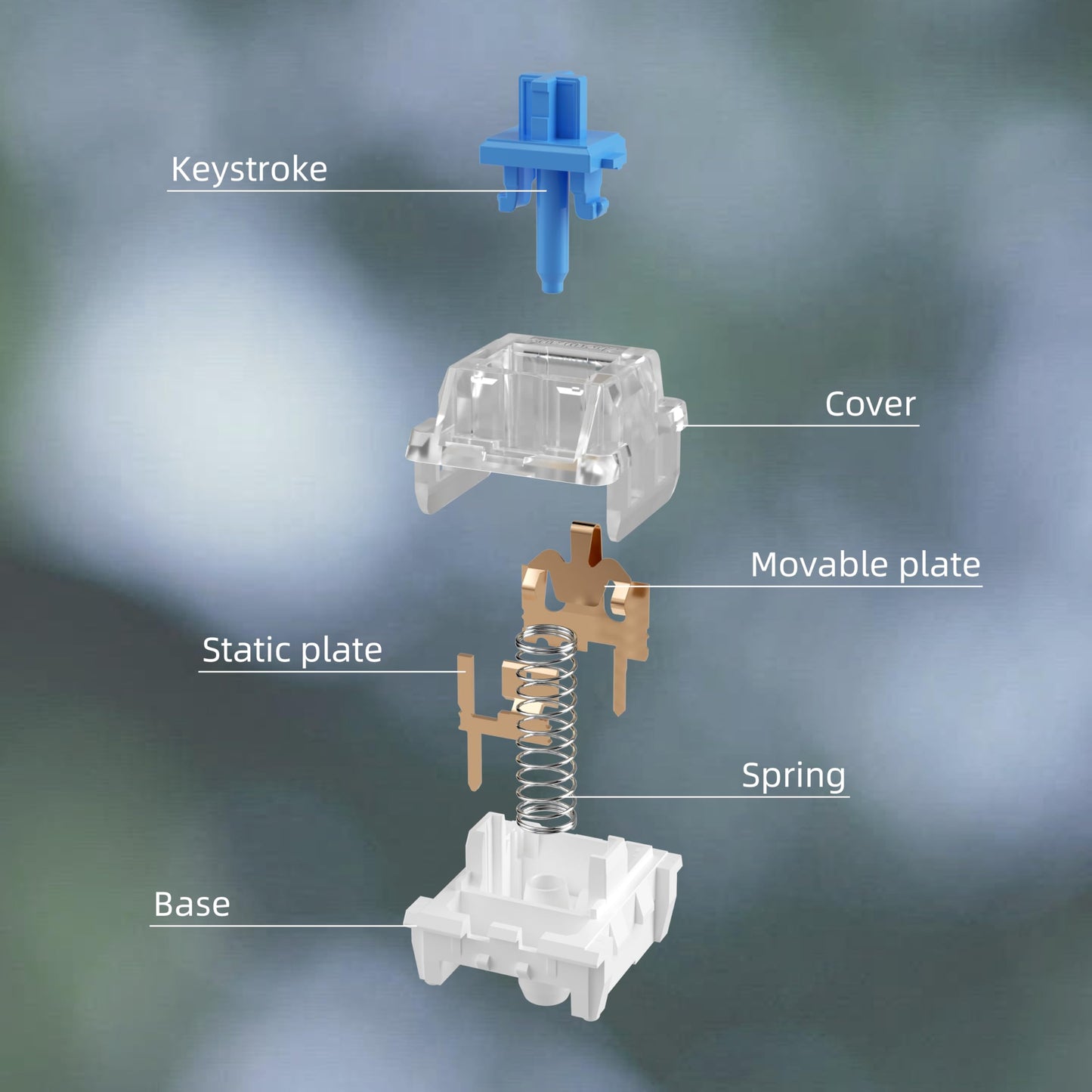 Fejwlvs ZhouWang Blue Switch 3 Pin 50gf Pre-Lubricated,Dustproof Clicky Switch,Suitable for RGB,Mechanical Gaming Keyboards、MX Mechanical Keyboard(Blue,72PCS)