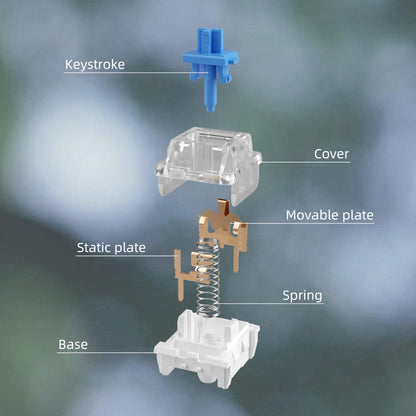 Fejwlvs ZhouWang Blue Switch 3 Pin 50gf Pre-Lubricated,Dustproof Clicky Switch,Suitable for RGB,Mechanical Gaming Keyboards、MX Mechanical Keyboard(Blue,72PCS)