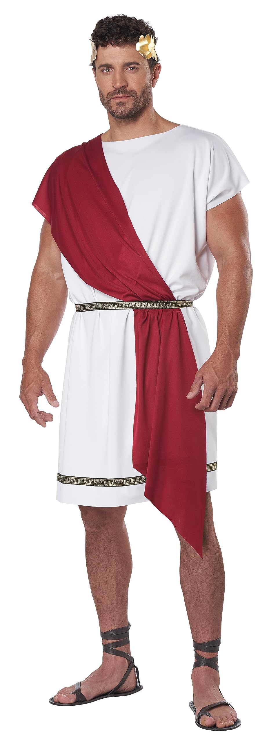 California Costumes Adult Party Toga Costume Small/Medium Multi