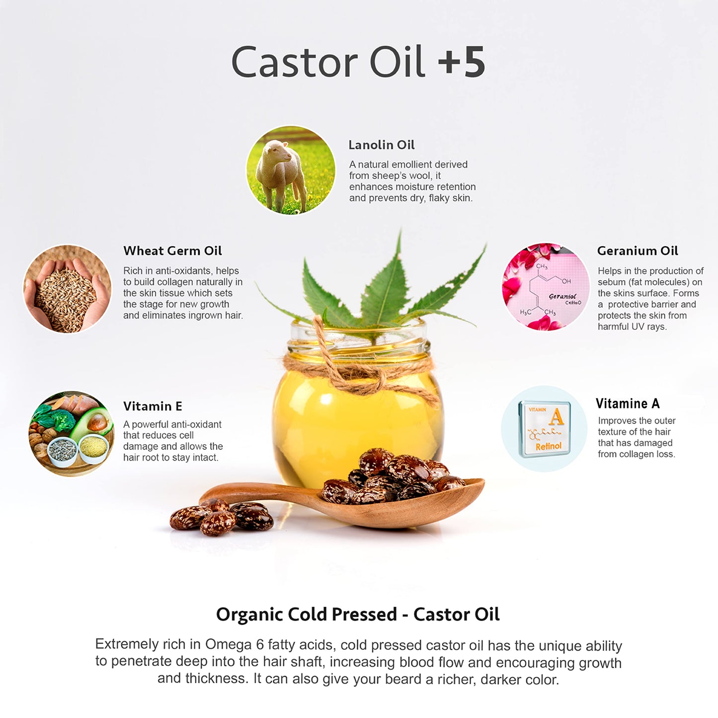 Godefroy Thick Beard and Mustache Serum For Ethnic Hair Types, 15 ml