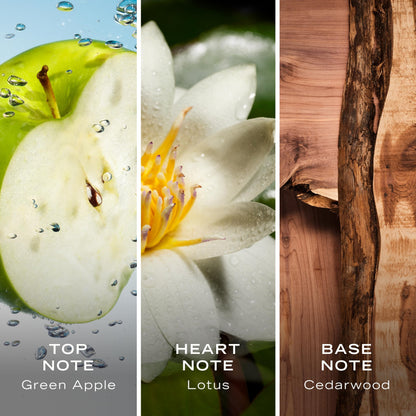 Nautica Voyage Eau De Toilette, Cologne and Fragrance For Men, Fresh, Romantic, Fruity Scent Woody, Aquatic Notes of Apple, Water Lotus, Cedarwood, and Musk Ideal Day Wear, Long Lasting 3.3Fl oz