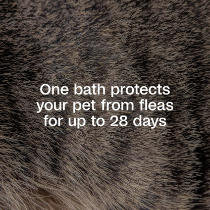 Adams Plus Flea & Tick Shampoo with Precor for Cats, Kittens, Dogs & Puppies Over 12 Weeks Of Age Sensitive Skin Flea Treatment | Kills Adult Fleas, Flea Eggs, Ticks, and Lice| 12 Ounces